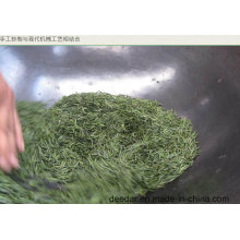 Yong Bud Chá Verde Orgânico